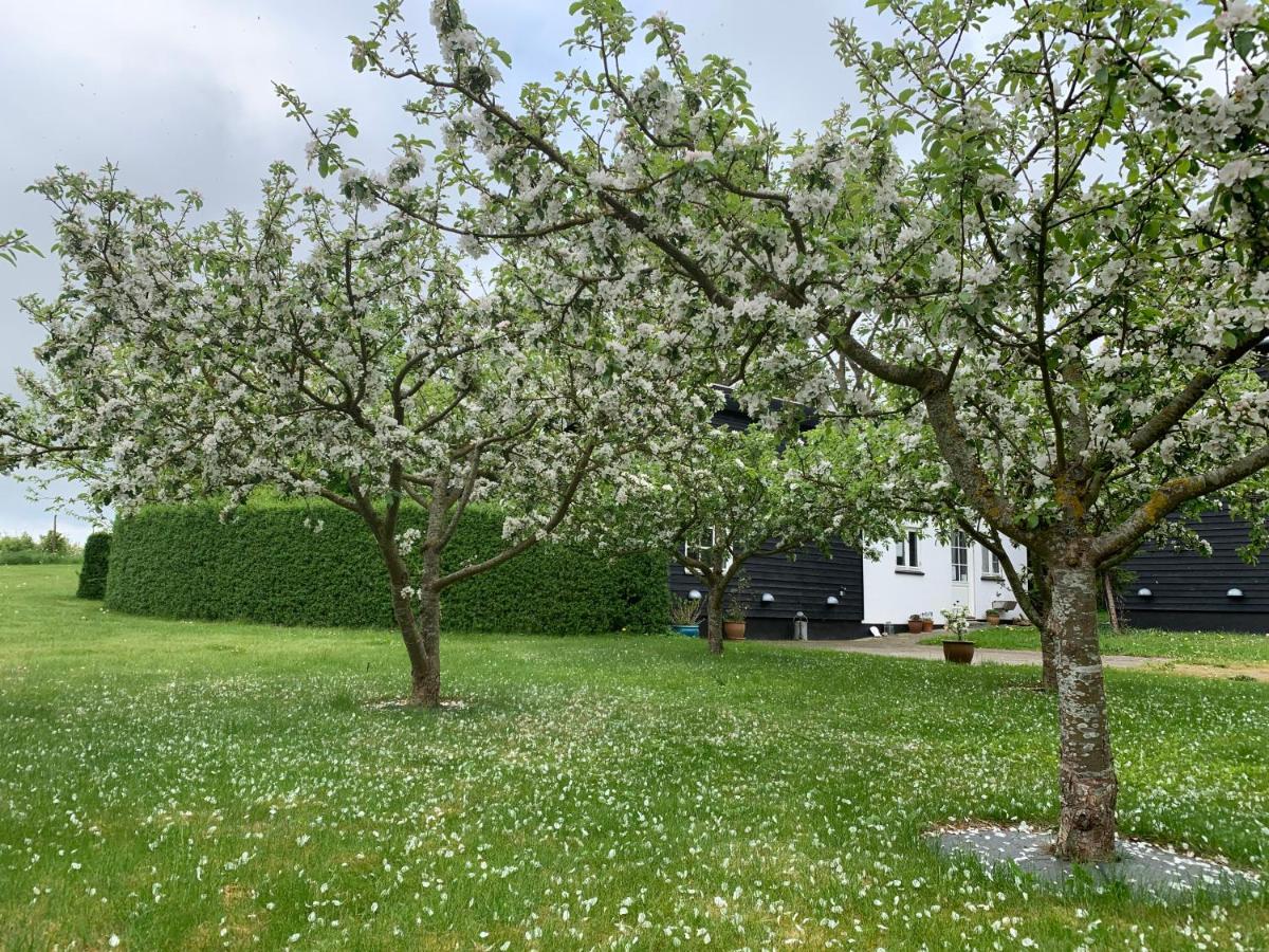 Store Heddinge Tusindfrugt B&B מראה חיצוני תמונה