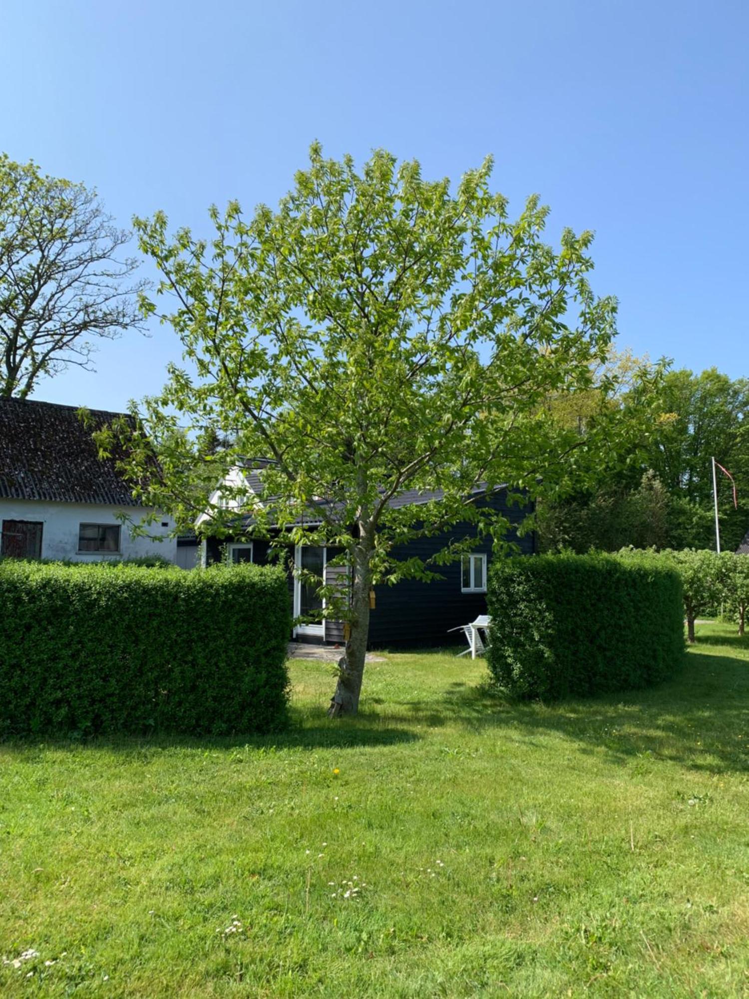 Store Heddinge Tusindfrugt B&B מראה חיצוני תמונה